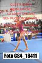 CS4_18411-