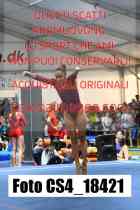 CS4_18421-
