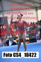 CS4_18422-