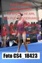 CS4_18423-