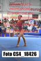 CS4_18426-