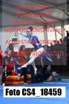 CS4_18459-