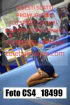 CS4_18499-