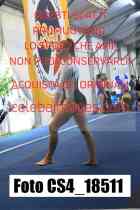 CS4_18511-