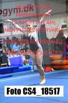 CS4_18517-