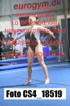 CS4_18519-