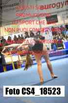 CS4_18523-