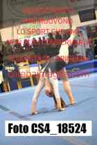 CS4_18524-