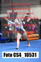 CS4_18531-