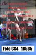 CS4_18535-