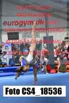 CS4_18536-