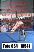 CS4_18541-