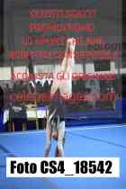 CS4_18542-