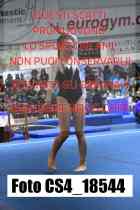CS4_18544-