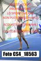 CS4_18563-