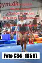 CS4_18567-