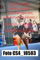 CS4_18583-