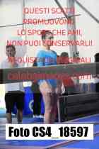 CS4_18597-