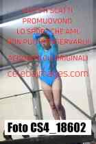 CS4_18602-