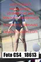 CS4_18613-