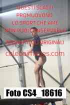 CS4_18616-