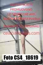 CS4_18619-
