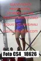CS4_18626-