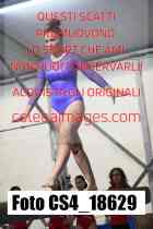 CS4_18629-