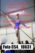 CS4_18631-