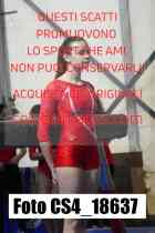 CS4_18637-