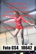 CS4_18642-