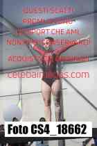 CS4_18662-