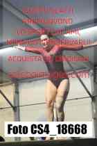 CS4_18668-