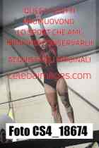 CS4_18674-