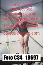 CS4_18697-