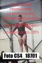CS4_18701-