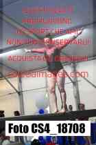CS4_18708-