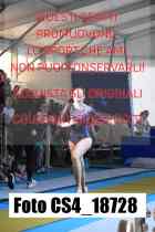 CS4_18728-