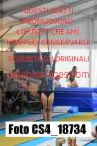 CS4_18734-