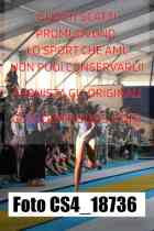 CS4_18736-