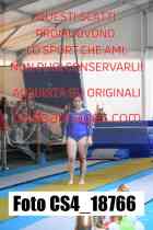 CS4_18766-