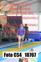 CS4_18767-