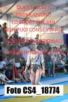 CS4_18774-