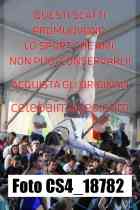 CS4_18782-