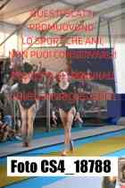 CS4_18788-