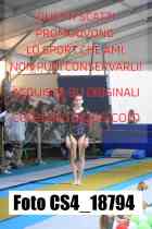 CS4_18794-