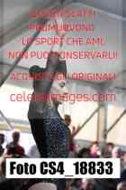 CS4_18833-