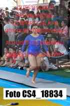 CS4_18834-