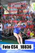 CS4_18836-
