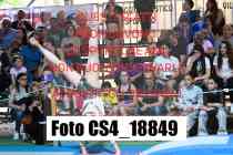 CS4_18849-
